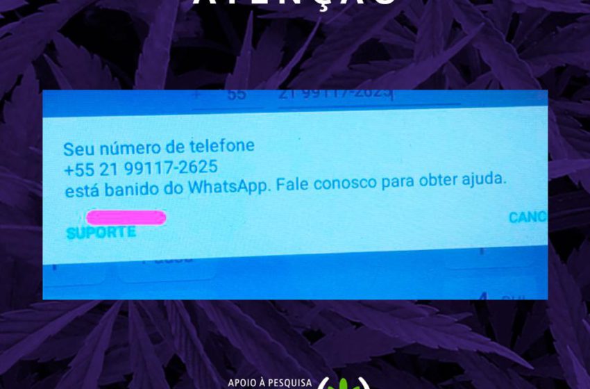 Associação Apepi é banida do WhatsApp acusada de vender drogas ilícitas