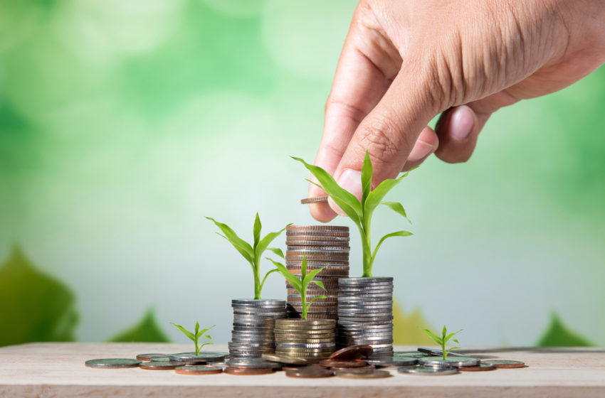 A crescente demanda de cannabis e seus benefícios econômicos