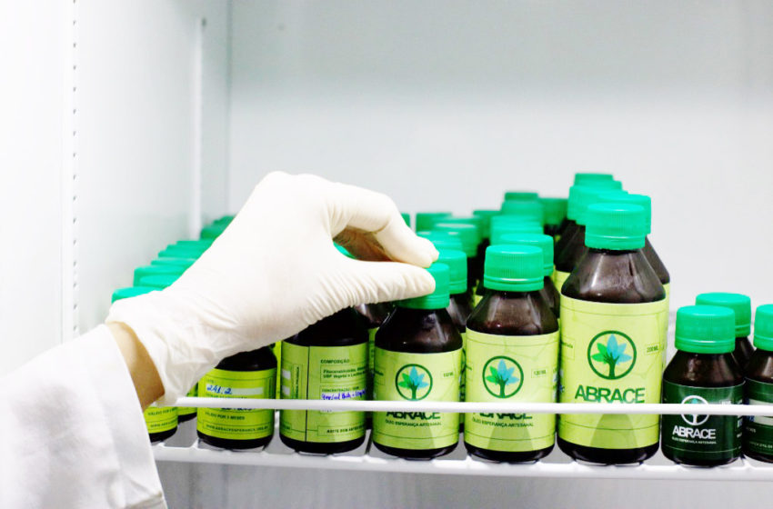 Anvisa entra na justiça para barrar a plantação de cannabis pela Abrace