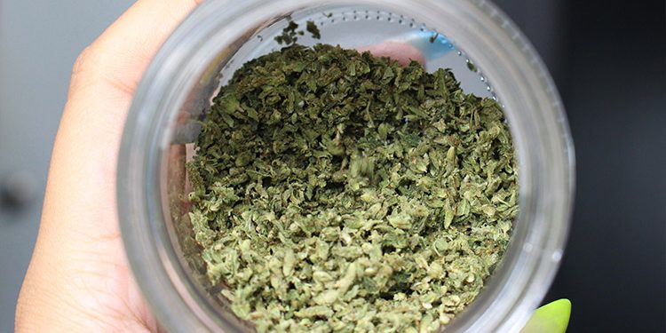 Delta-8 THC: O canabinoide que está chamando atenção