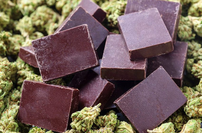  Cannabis e Chocolate: mais semelhantes do que se imagina