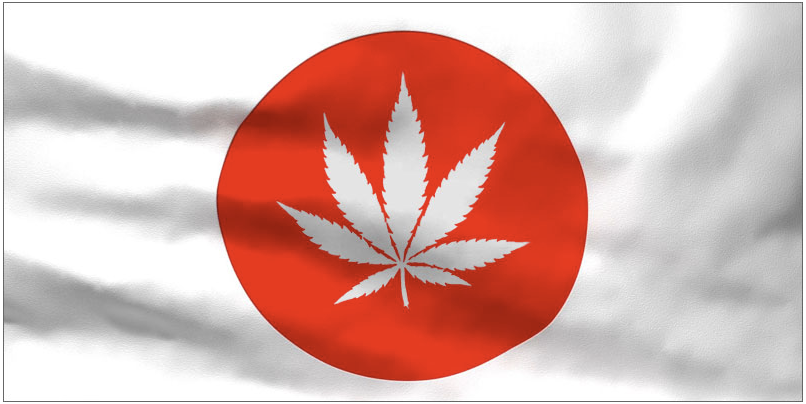  Número de presos por causa da cannabis bate recorde no Japão 