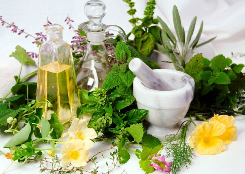 Cannabis e medicina tradicional: o que a história mostra?