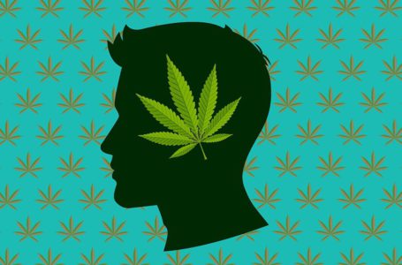 É possível desenvolver tolerância à maconha?