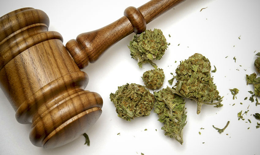 Legislatura do Novo México aprova projeto de lei recreacional sobre a cannabis