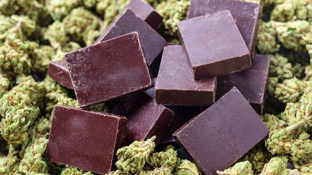 Cannabis e Chocolate: mais semelhantes do que se imagina