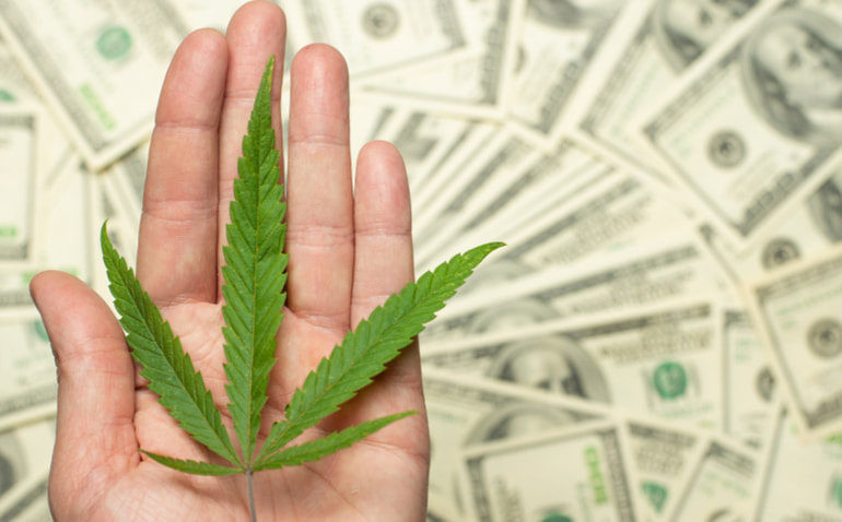 Crescimento de 245 milhões de dólares em receita anual de cannabis pode ser promissor em Nova York