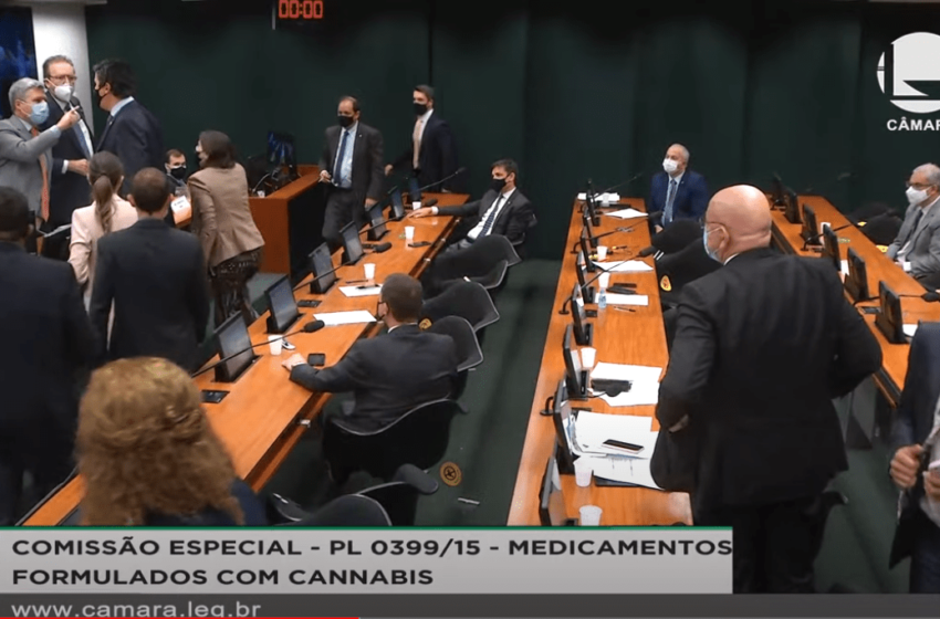 Votação da PL 399 que regula a cannabis medicinal é adiada mais uma vez