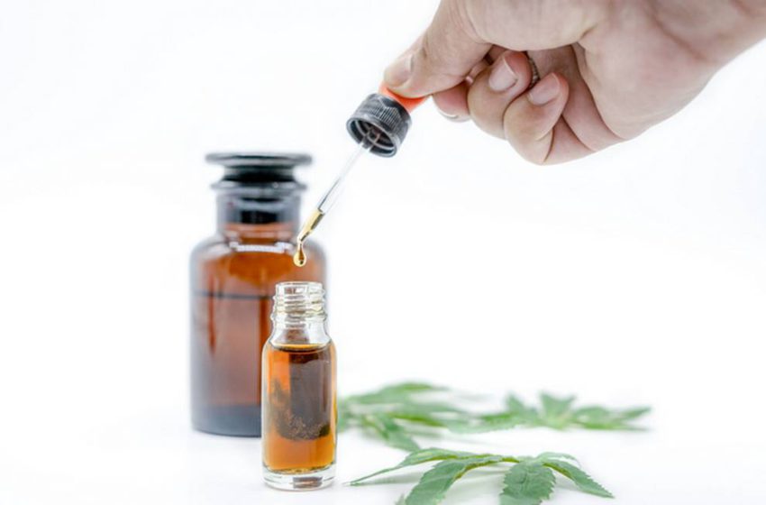  STF entende que o Estado é obrigado a fornecer remédios à base de cannabis