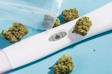 Anticoncepcionais e cannabis: essa dupla combina?