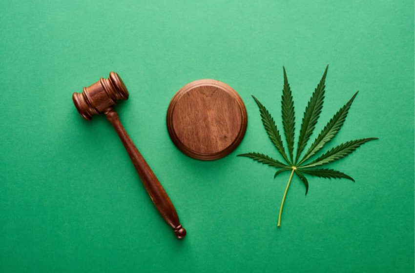 Suprema corte da Flórida diz não à proposta de votação a cannabis