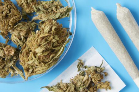 Overdose por maconha é possível?