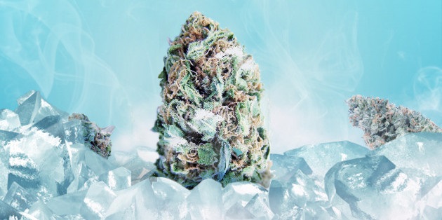 Cientistas afirmam que congelar a cannabis pode aumentar sua potência
