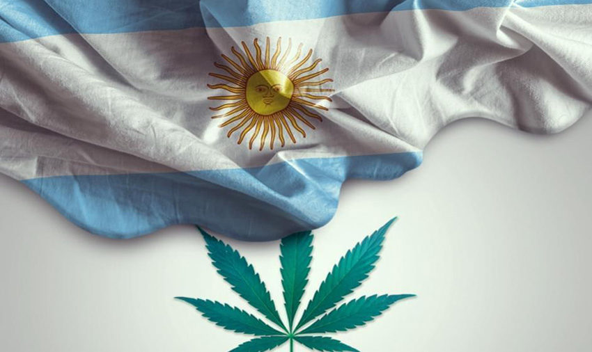  Senado aprova projeto de lei que regulamenta a indústria da Cannabis Medicinal e Cânhamo na Argentina