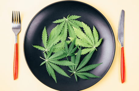 Anorexia: a cannabis pode ajudar no tratamento?