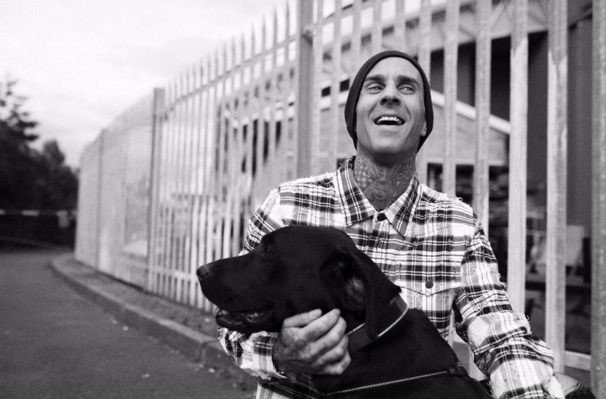  Baterista do Blink 182 lança marca de canabidiol para gatos e cães
