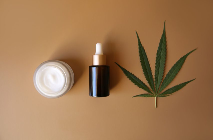 Metade dos brasileiros é favorável ao uso medicinal da cannabis, segundo pesquisa