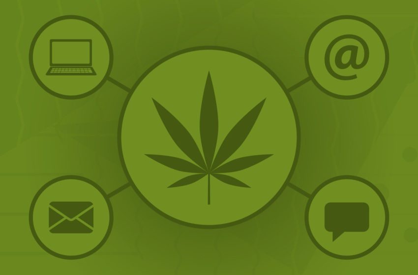  Site de cannabis é o segundo link mais acessado no Facebook, segundo levantamento