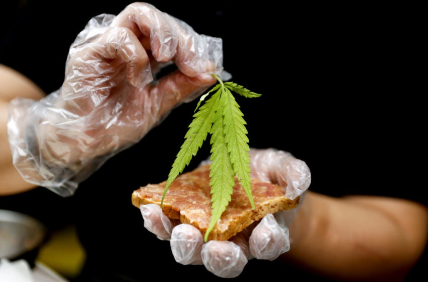 Comestíveis de cannabis são proibidos no Brasil?