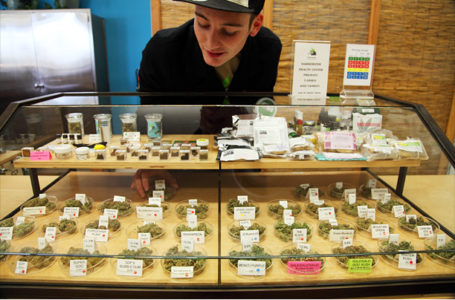 O que é um budtender?