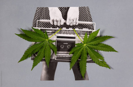 A relação da cannabis e a música