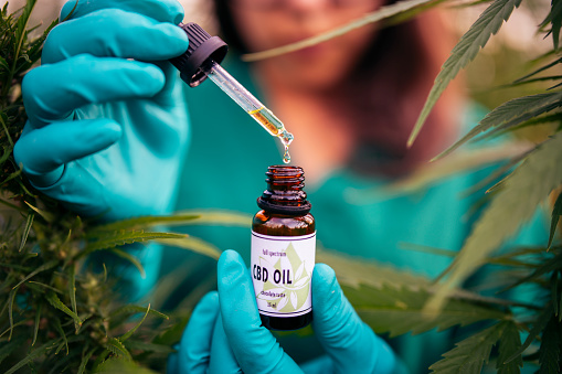  Anvisa autoriza mais um óleo à base de cannabis