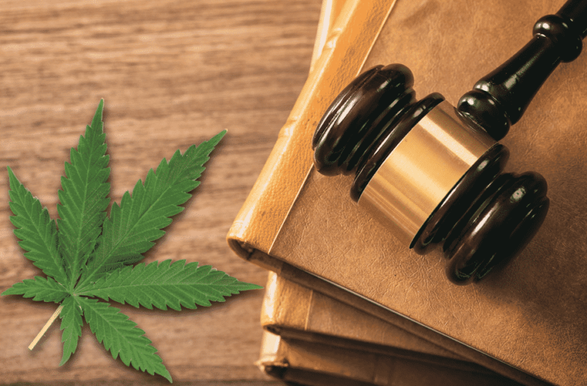  Projetos de Lei de Cannabis além do PL 399