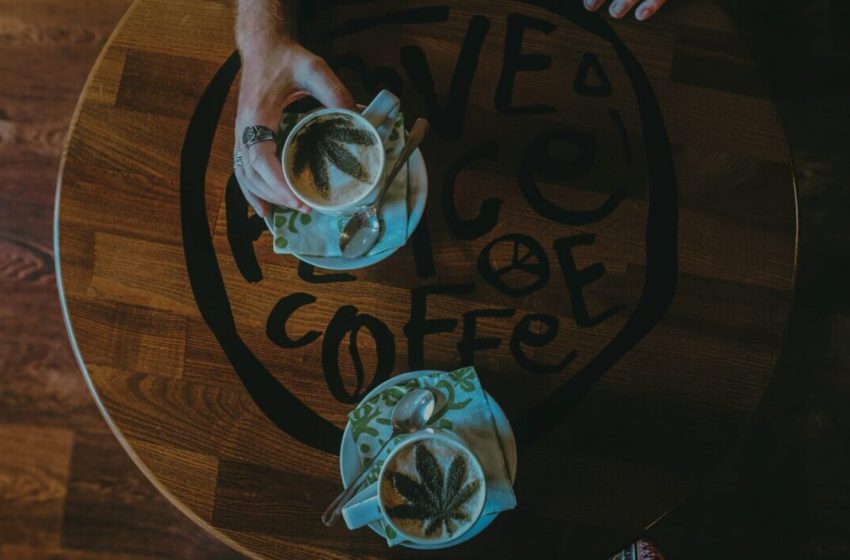 Cannabis e café: Qual a relação entre essas duas substâncias?