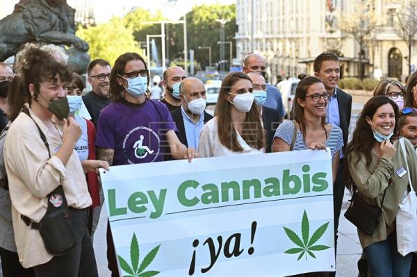 Projeto de lei sobre legalização da cannabis é rejeitado pelo parlamento espanhol