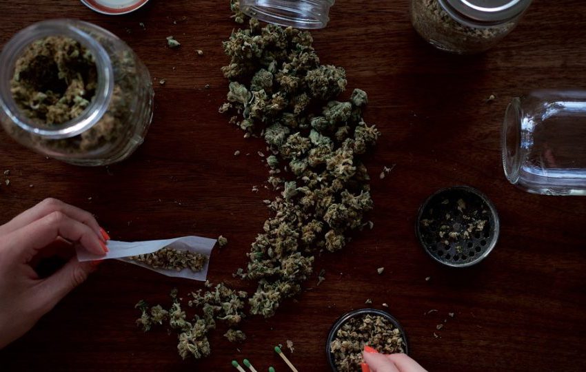 Luxemburgo será o primeiro país da Europa a legalizar produção e consumo de cannabis