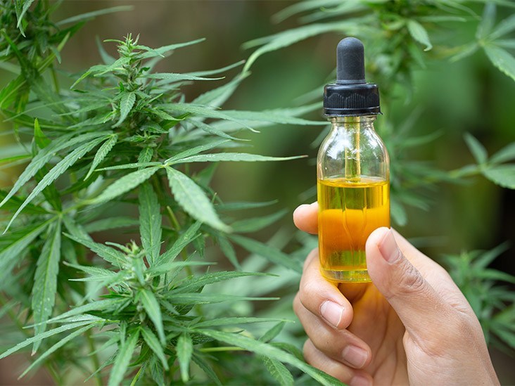  Projeto de lei sobre produtos à base de cannabis no SUS é vetado no MT