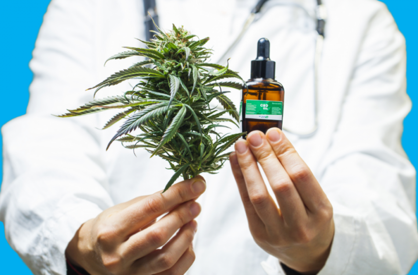  RN irá capacitar profissionais da saúde para atender pacientes que utilizam a cannabis medicinal
