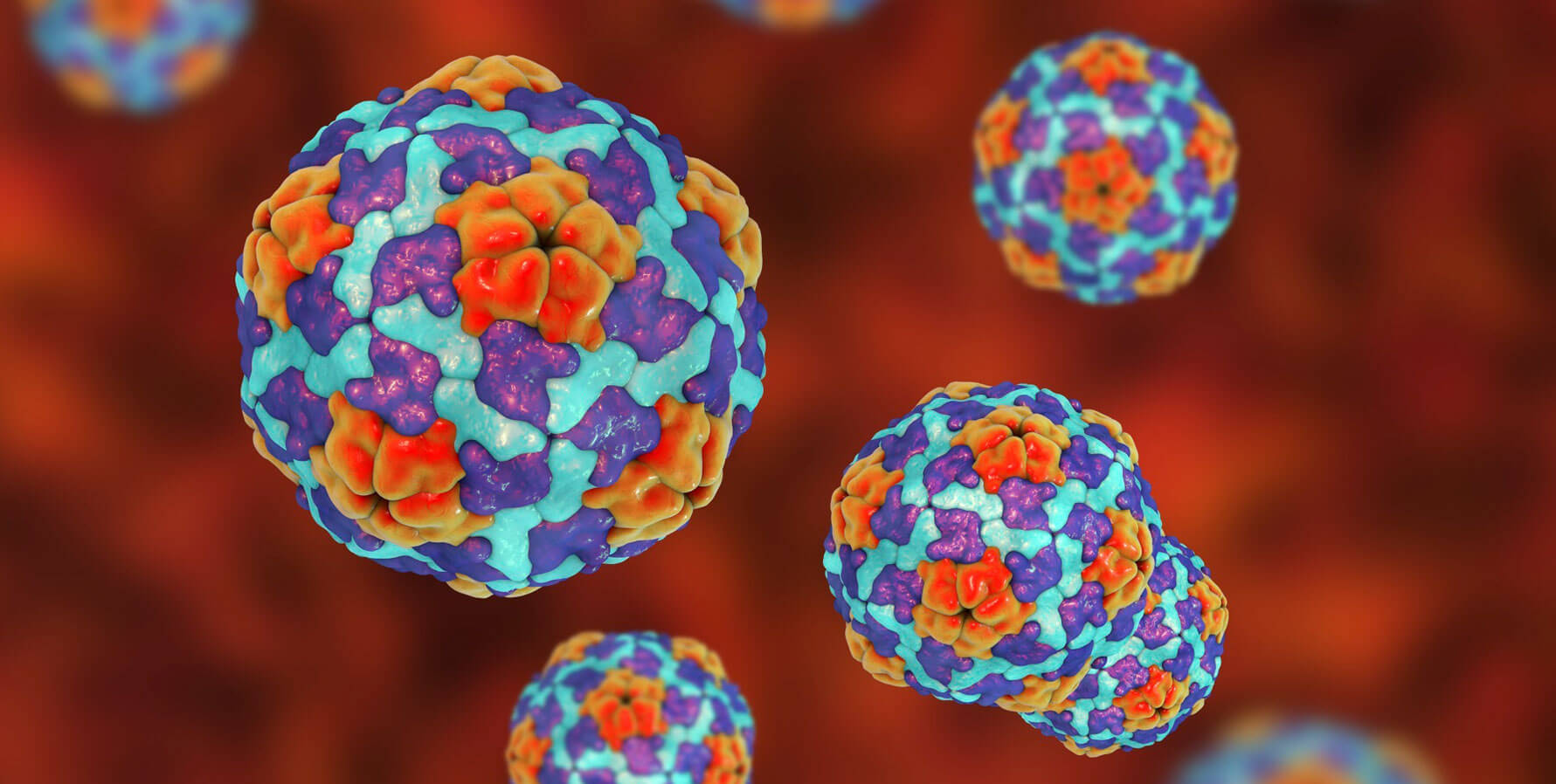 Hepatite A: O que é, Tipos, Causas, Sintomas, Prevenção e Tratamentos ...