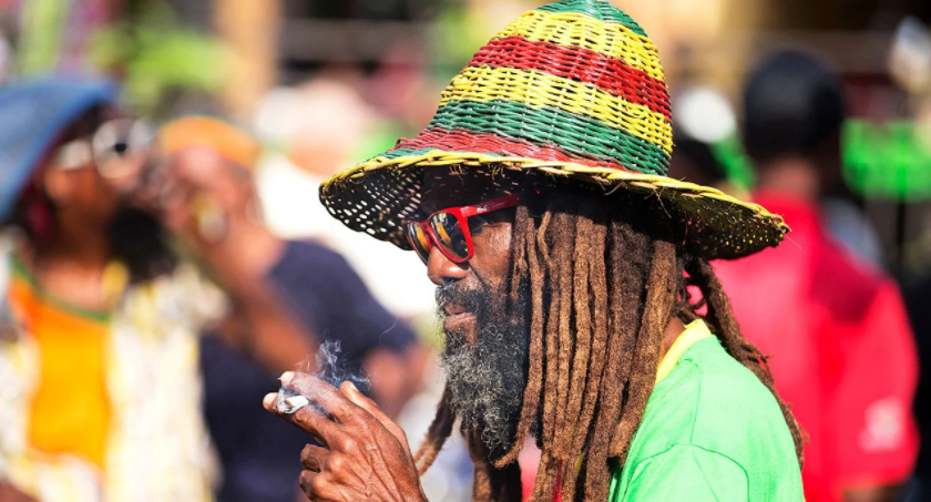  Jamaica lança método de ensino sobre cannabis para o público