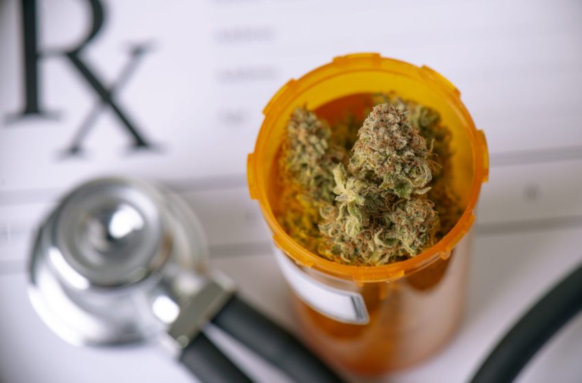  Fisioterapeutas e nutricionistas podem prescrever cannabis?