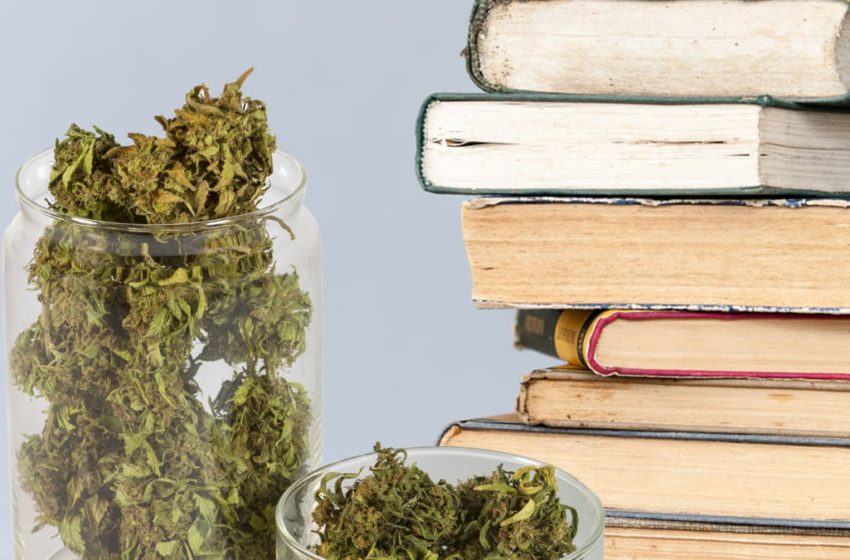  UFG oferece curso de cannabis para profissionais da saúde