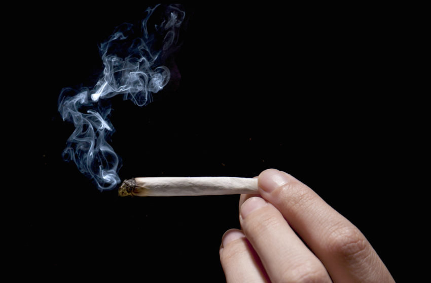  Maconha tem efeitos diferentes do tabaco nos pulmões, segundo estudo