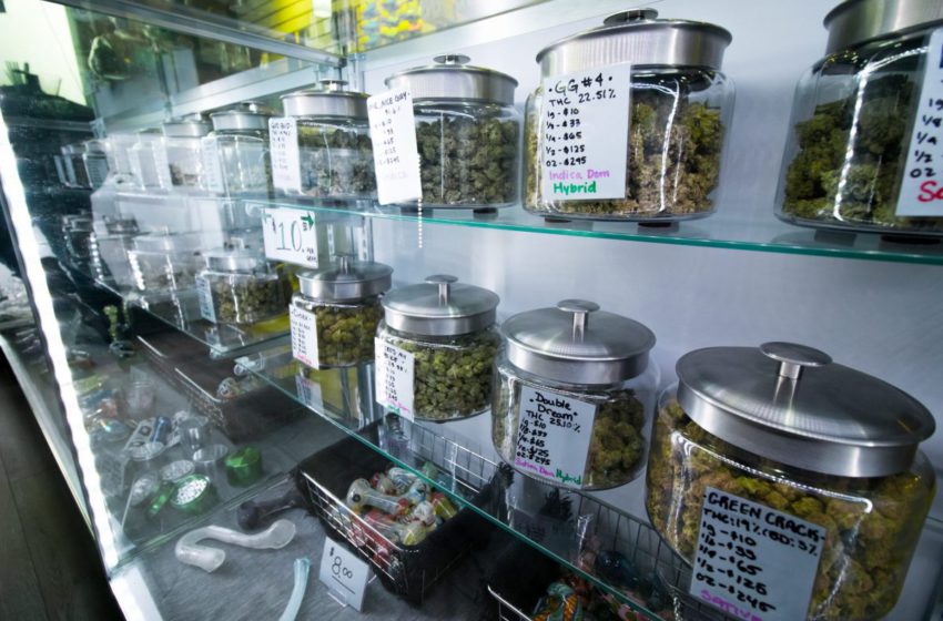   Mississipi é o 37º estado americano a legalizar a cannabis medicinal