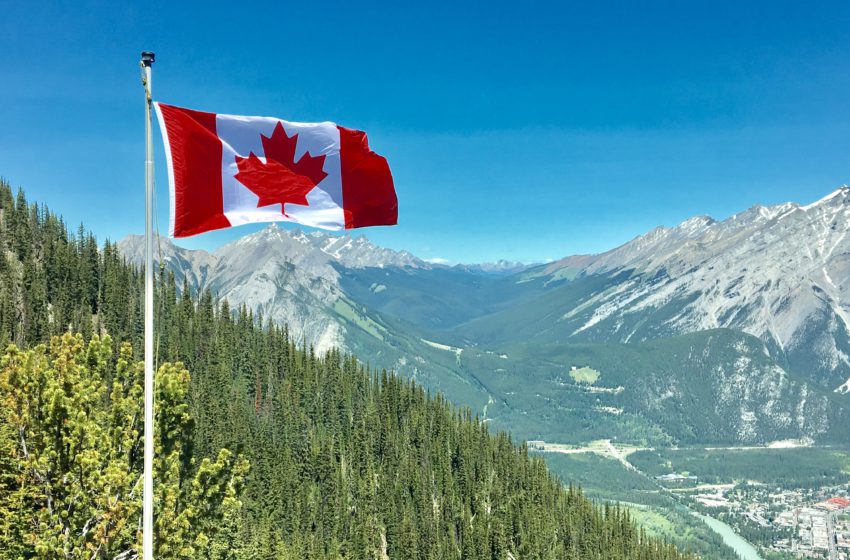  Pontos positivos e negativos do mercado de cannabis no Canadá