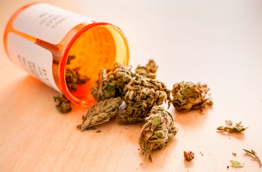  O aumento nos preços dos remédios afeta produtos à base de cannabis?