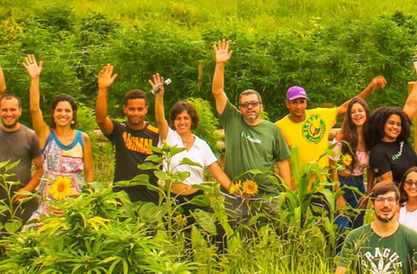  Conheça a história da Apepi, primeira fazenda de cannabis medicinal do Rio
