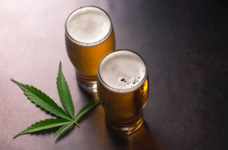 Cannabis infused Beer to get you high. Edibles are a popular way to get high without actually smoking. Since legalization of Marijuana in Canada, Uruguay and some US states, LP’s and companies are looking for different ways to provide consumers with a smoke-free high.