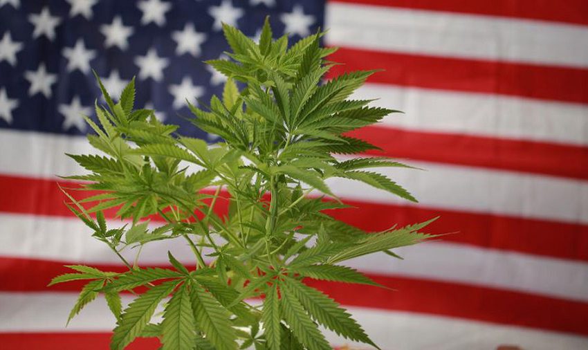  Câmara dos EUA aprova projeto de lei que legaliza a cannabis à nível federal