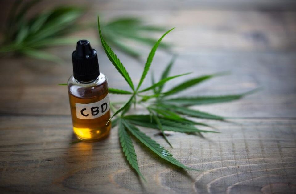 A cannabis pode ajudar no tratamento de artrose?