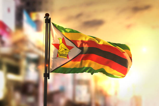  Cannabis pode ser uma alternativa para o antitabagismo em Zimbábue