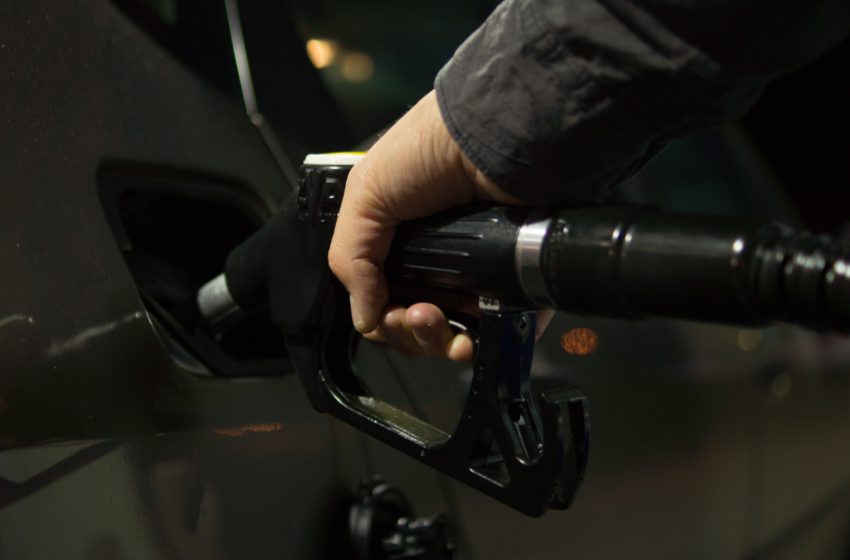O cânhamo pode ser a energia do futuro?
