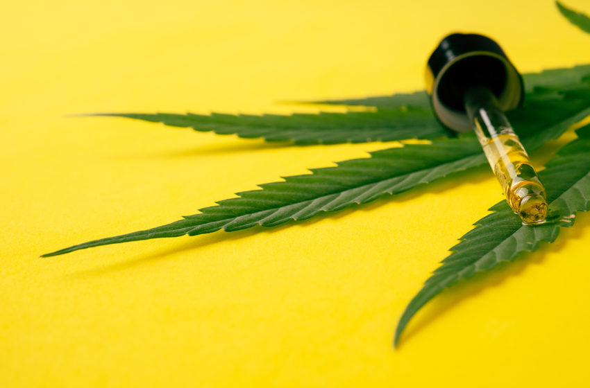  Extrato de Cannabis sativa Alafiamed: O que é, para que serve e como comprar