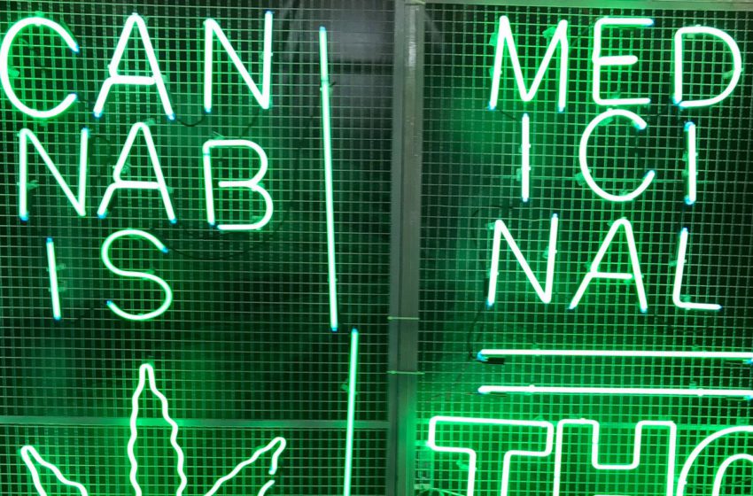  Feira de cannabis toma conta de evento sobre medicina em São Paulo