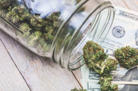 A stock photo of some Medical Marijuana Buds.
