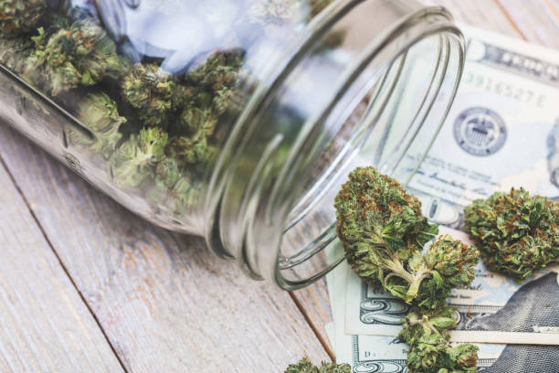  Lucro global do mercado legal de cannabis pode chegar a US $105 bilhões até 2026